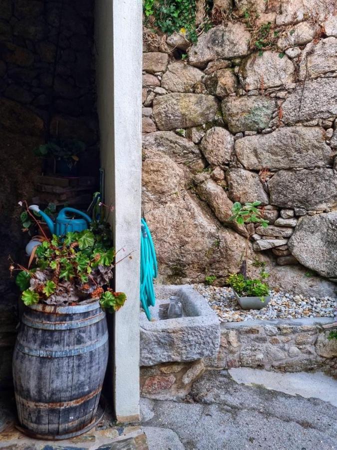 Alojamiento Casa Carlota Villadesuso Esterno foto