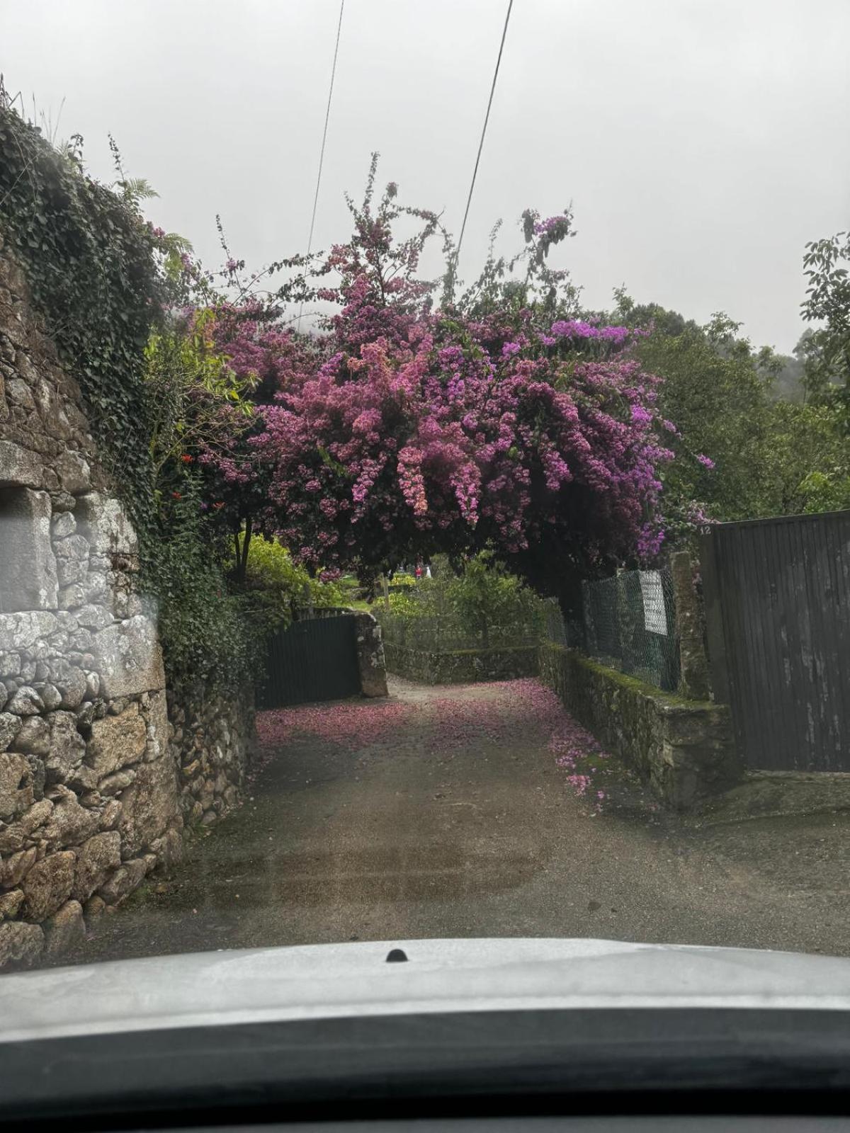 Alojamiento Casa Carlota Villadesuso Esterno foto